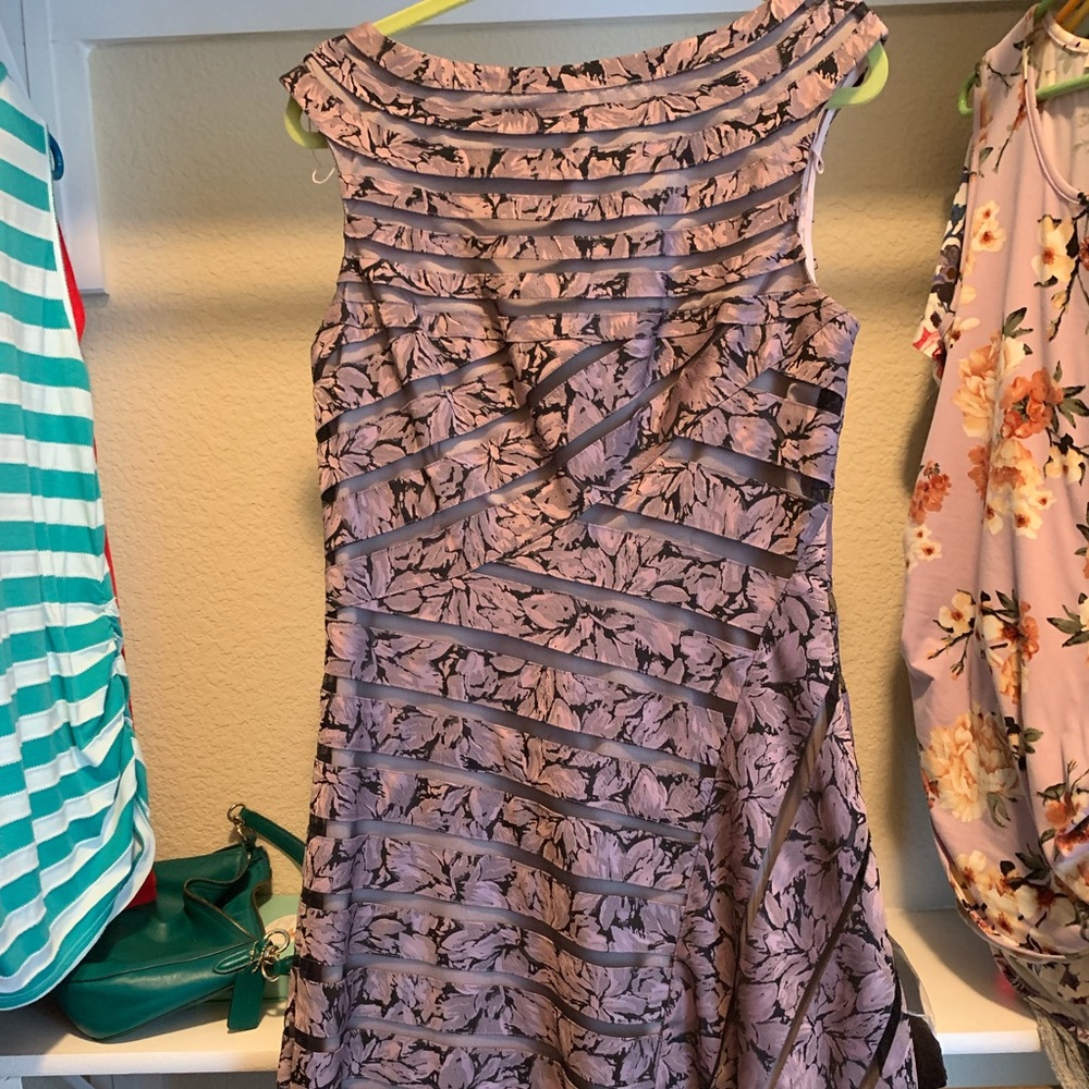 Gorgeous Adrianna Papell purple and black dress
